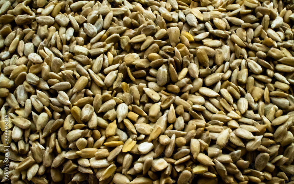 Obraz premium background of sunflower seeds close-up. texture