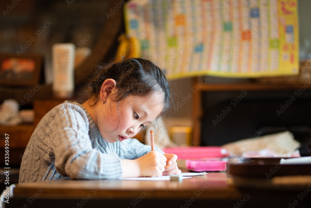 自宅で勉強をする女の子 自宅で勉強をする女の子