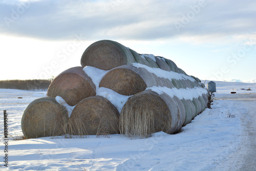 Large Stacks of Hay Bails on a Snowy Farm Field in Winter