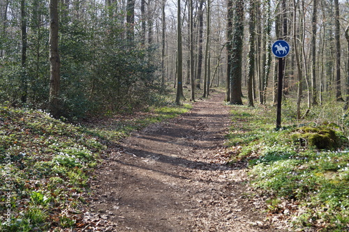 Reitweg