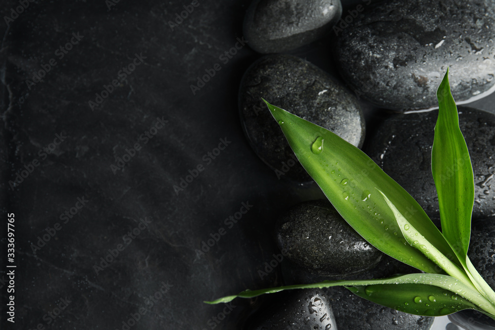 Stones and bamboo sprout in water on dark background, flat lay with space for text. Zen lifestyle - obrazy, fototapety, plakaty 