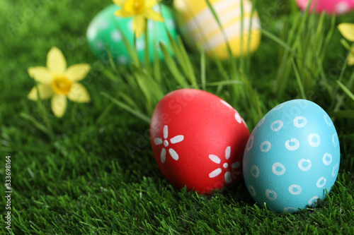 Colorful Easter eggs and daffodil flowers in green grass, closeup
