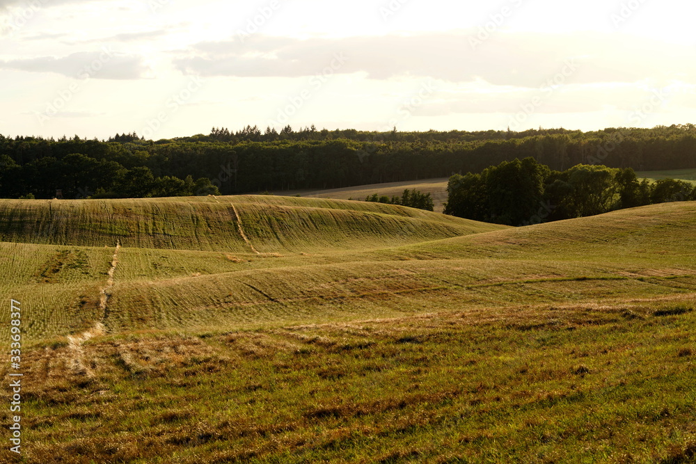 Feld in Mecklenburg-Vorpommern
