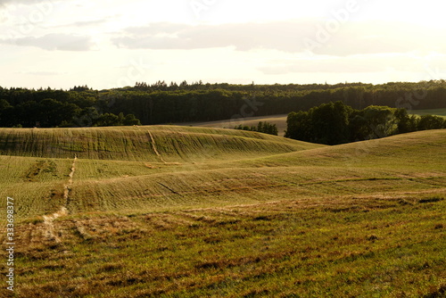 Obraz na płótnie Feld in Mecklenburg-Vorpommern w salonie