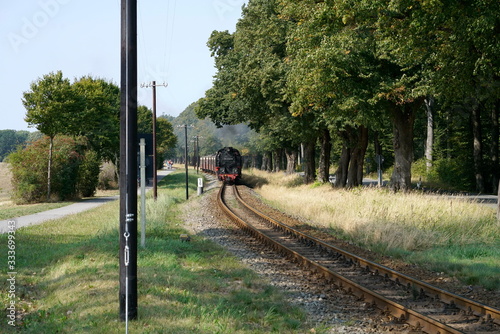 Obraz na płótnie Dampflokomotive Molly w salonie