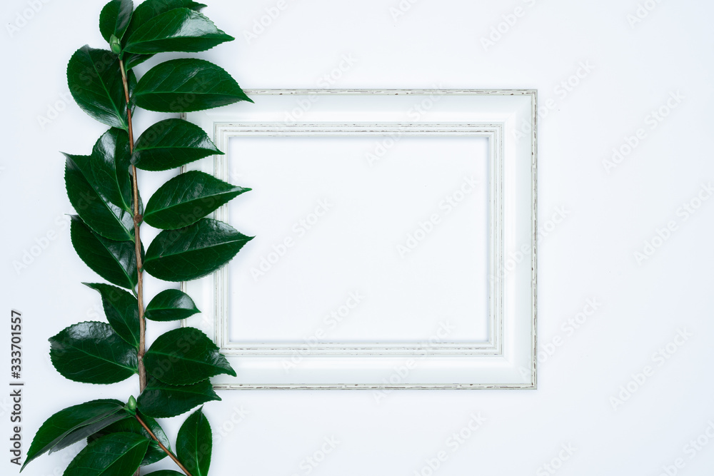 Green leaves with white photo frame on white background. Flat lay, top view, space.