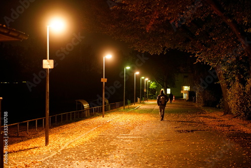 Fototapeta Naklejka Na Ścianę i Meble -  beleuchteter Weg bei Nacht