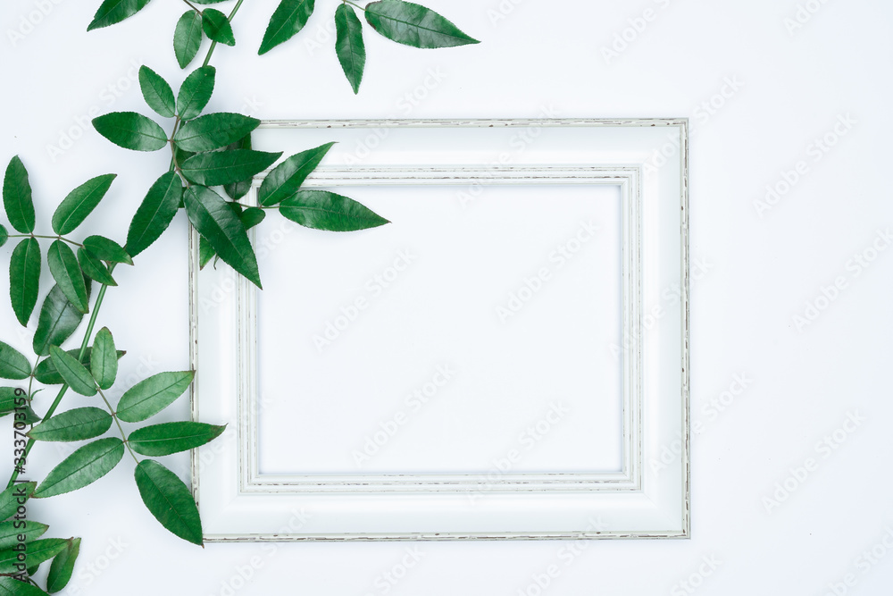 Naklejka premium Green leaves with white photo frame on white background. Flat lay, top view, space.