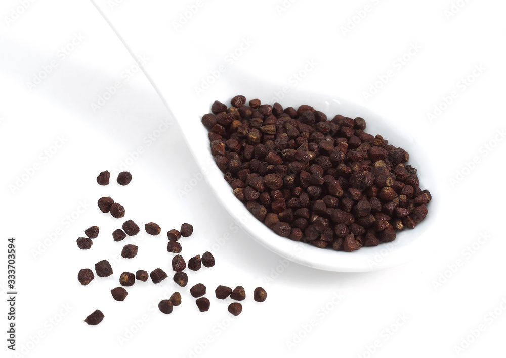 GRAINS OF PARADISE aframomum melegueta, AN AFRICAN SPICE . GRAINS OF PARADISE aframomum melegueta, AN AFRICAN SPICE .