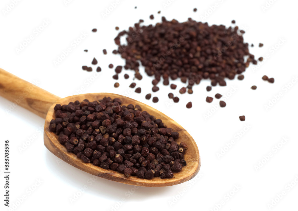 GRAINS OF PARADISE aframomum melegueta, AN AFRICAN SPICE . GRAINS OF PARADISE aframomum melegueta, AN AFRICAN SPICE .