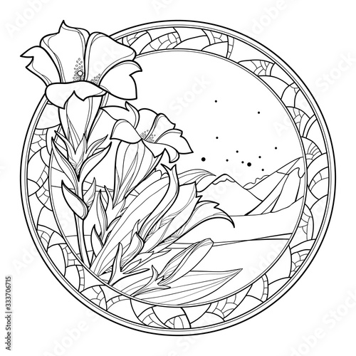 Bouquet of outline Gentiana or trumpet Gentian flower, bud and leaf in round frame in black isolated on white background. 