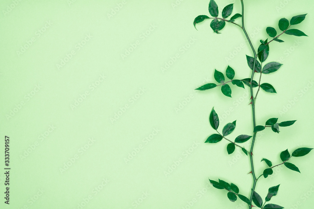 Green leaves on green background. Flat lay, top view, space.