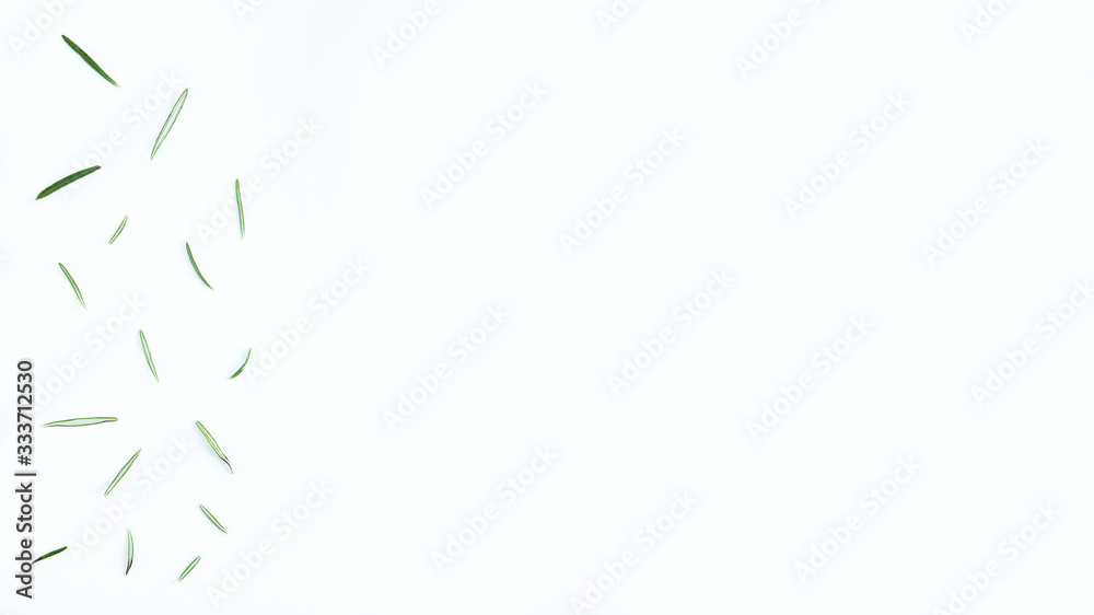 Obraz premium Rosemary on a white background, top view. Spices, seasonings