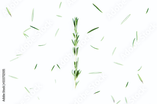 Rosemary on a white background, top view. Spices, seasonings