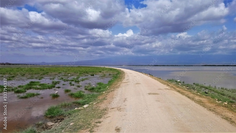Road through a lake in Amboseli National Park, Kenya.