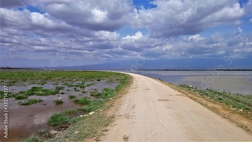 Road through a lake in Amboseli National Park  Kenya.