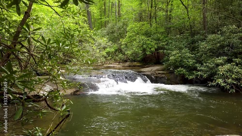 Stream in Forest Spring Lush and Green in the Upstate of South Carolina Cascade Falls