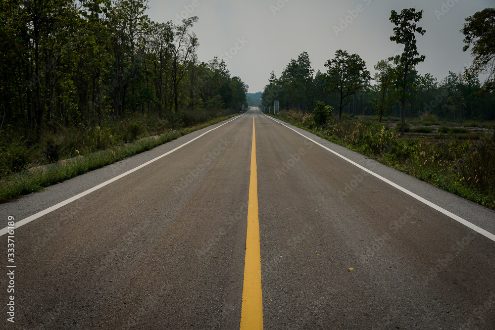 The road where the trees are on the side of the road.