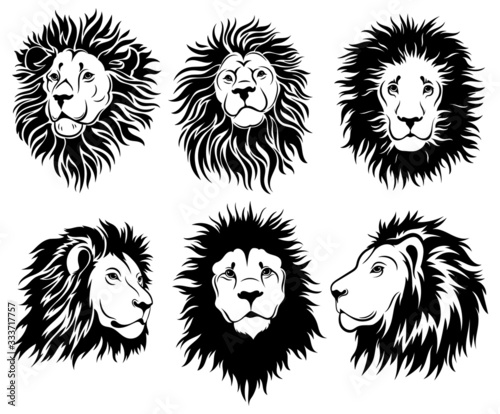 Photography Set of lion faces
