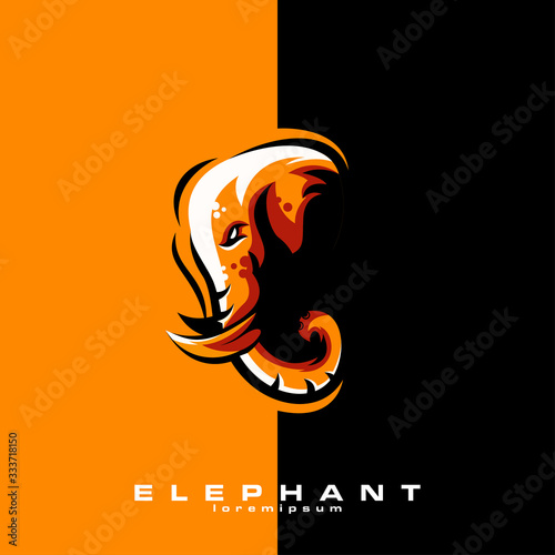 elephant logo design vector abstract illustrator