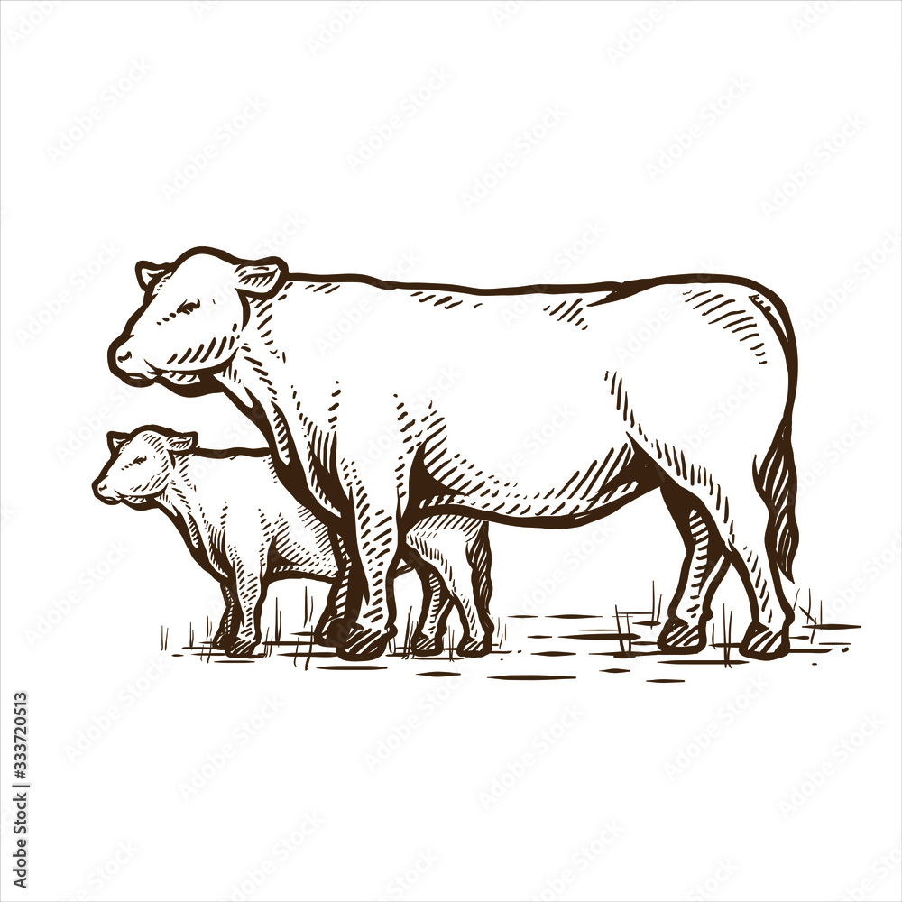 Flying cow. Ink black and white drawing - a Royalty Free Stock Photo from  Photocase
