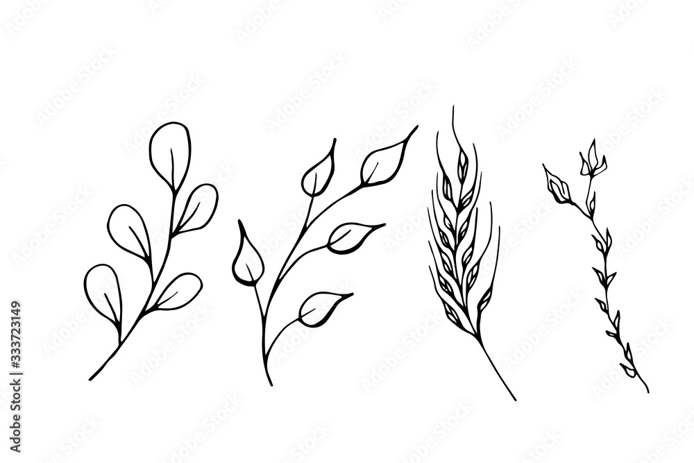 Set of branch with leaves and buds isolated on a white background. Vector doodle illustration. Sketch.  Line style