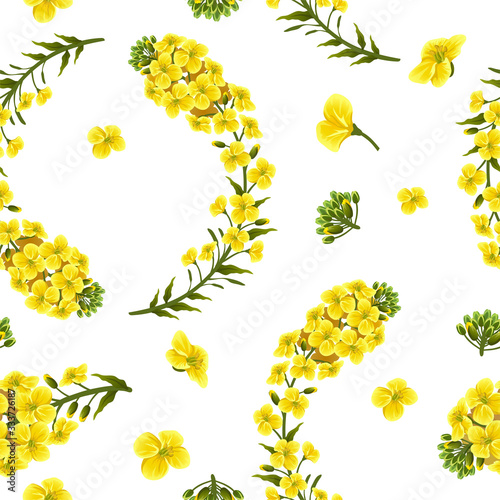 Pattern rape flowers, canola. Brassica napus. Seamless vector background.