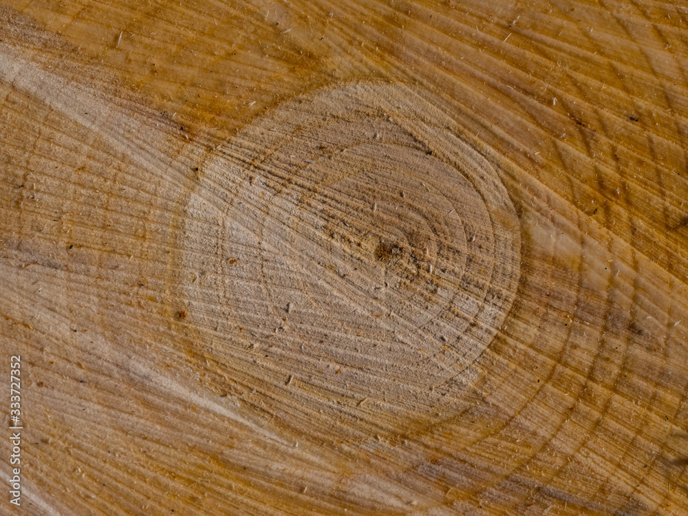 Naklejka premium abgesägte Baumscheiben, Hintergrund Muster, Jahresringe