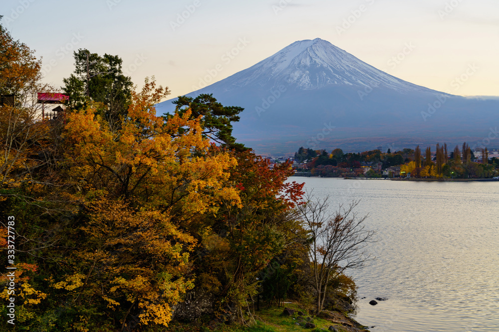 Fototapeta premium 富士山と紅葉