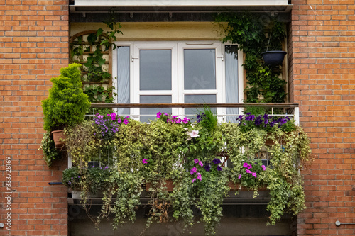 Balcony with many green plants in the city, concept urban gardening