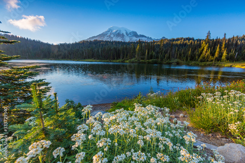 Reflection lake trail, Mount Rainier, Summer