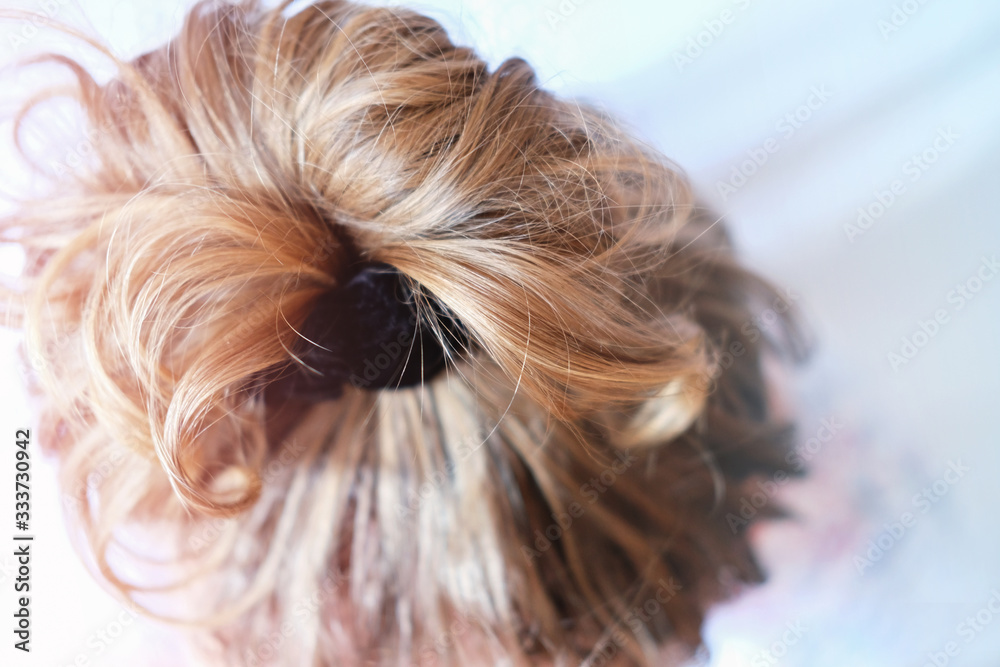 messy bun on the head of a blonde woman. slightly curly hair. Modern fast hairstyle messy hair. bad hair day concept. quick hairdo at home. messy bun on the head of a blonde woman. slightly curly hair. Modern fast hairstyle messy hair. bad hair day concept. quick hairdo at home.