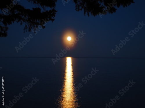 Quadro su tela Moonlight on the lake