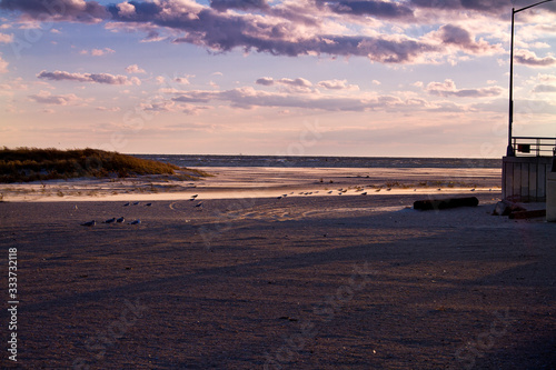 Far Rockaway in New York  Birds on the Beach  with fine Sand Blowing on the Beach romantic evening Light  with Copy space in the foreground