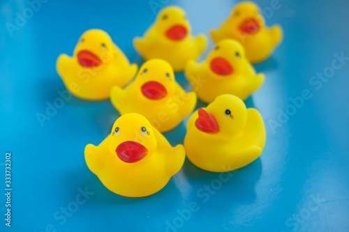 Close up of yellow color plastic duck on blue background.