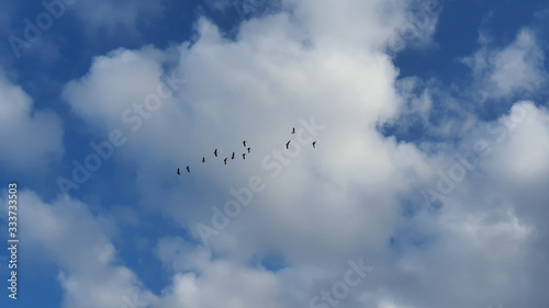 clouds in the sky