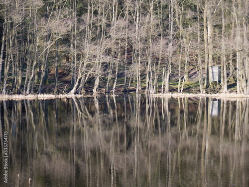 reflections in the lake