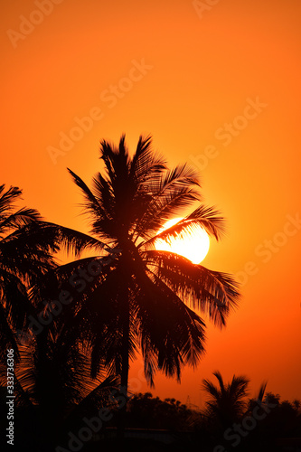 Beautiful sun set with coconut tree silhouette © Satheesh