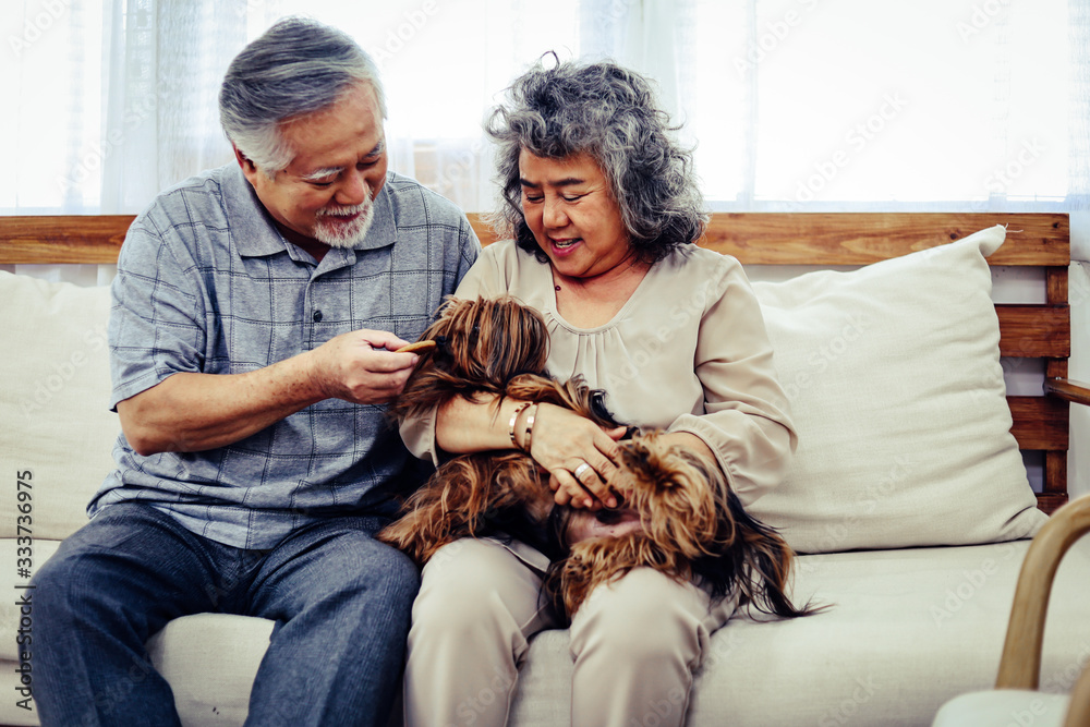 Happiness senior couple lover smile portrait and lifestyle at home. Happiness senior couple lover smile portrait and lifestyle at home.