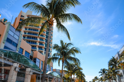 Palmen vor einem Gebäude am Ocean Drive in Miami, Florida © V&B-Photography