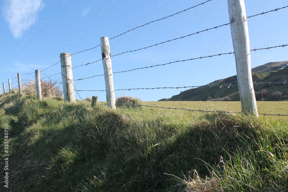 Fototapeta premium A fence on a grassy hill