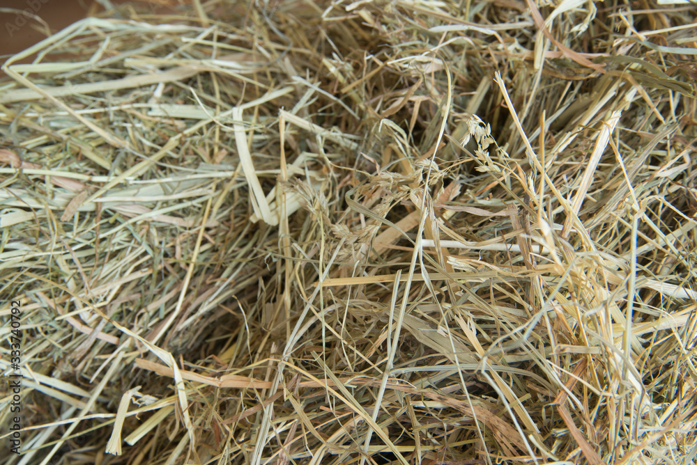 hay strows backgroind closeup