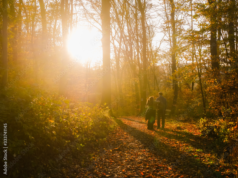 Obraz premium Paar bei Sonnenuntergang im Wald im Herbst