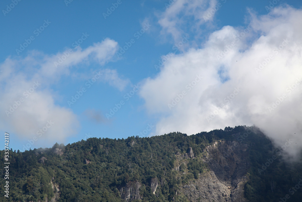 The cloudy on mountain in alishan national park at taiwan The cloudy on mountain in alishan national park at taiwan