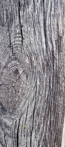 wood cut as background texture for artists