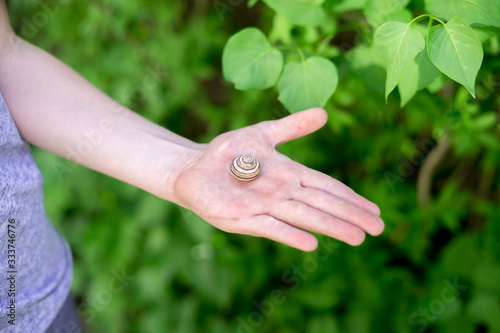 hand holds a snail on a background of green garden © TetianaRUD