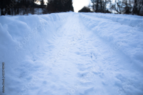 snowy road in forest