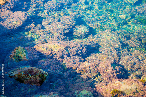 sea landscapes on the Mediterranean coast on summer days