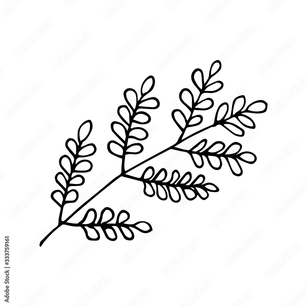 Forest leaves hand drawn vector. autumnal garden leaf Isolated on white background. Botanical forest plants or september october tree foliage