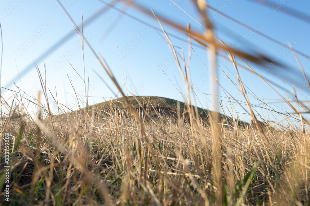Obraz premium The tomb hill from the bottom view